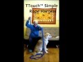 Tellington TTouch® Simple Rope Dog Harness