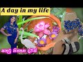 A Day In My Life | සතුටු හිතෙන දවස් | polwatta plant nursery | master engineering | ridma pilapitiya