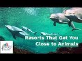 14 Best Resorts That Get You Close to Animals | Family Vacation Critic