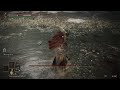 Elden Ring - Deflecting Hardtear on Malenia