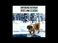 Difference Between Boss \u0026 Leader Dog Video