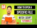 Batch Script to Open File