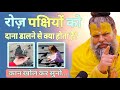 पक्षियों को दाना डालने का असली लाभ | शास्त्रों में छुपा बड़ा राज! || Premanand Ji Maharaj Video