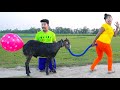 Top New Comedy Video Amazing Funny Video 😂Try To Not Laugh Episode 235 By BusyFunLtd
