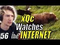 xQc Reacts to \