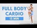 15 MIN FULL BODY CARDIO WORKOUT 🔥 FAT BURNING (No Jumping, No Squats, No Lunges)