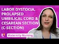 Labor Dystocia, Prolapsed Umbilical Cord, Cesarean Section - Maternity Nursing | @LevelUpRN