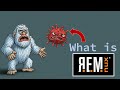 How Do You Handle Malware Safely? Start By Learning the REMnux VM!