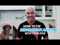 Explaining How To Fix Separation Anxiety With Your Dog