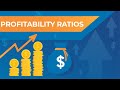 Profitability Ratios