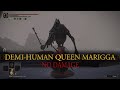 Demi-Human Queen Marigga (No Hit / No Damage) Boss Fight