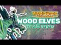 How WOOD ELVES work - A Warhammer: The Old World Army Guide