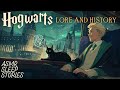 Fall Asleep to Hogwarts Lore \u0026 History | Cozy Harry Potter Bedtime Stories
