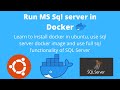 How to run sql server in docker container | Run sql server in linux using docker within few minutes