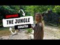 SICK \u0026 STRANDED Deep in the Jungles of Bukit Lawang | Indonesia Adventure Vlog S7E1