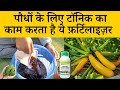 This fertilizer works as a tonic for plants | Seaweed Liquid Fertilizer Uses In Hindi