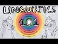A Linguistics Guide for Beginners!