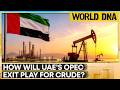 UAE OPEC Exit: Will Crude Prices Crash Or Spike? | WION World DNA