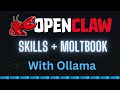 OpenClaw Skills Tutorial - Build Local AI Agent Skills + MoltBook Integration