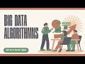 Big Data Algorithms: Unlocking Insights from Massive Datasets