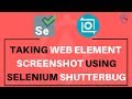 Take WebElement Screenshot using Selenium Shutterbug
