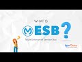 What is Mule Enterprise Service Bus | Mule ESB Tutorial | Mulesoft Training [Updated 2025] - igmGuru