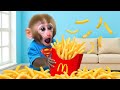 Macaco Bon Bon Enfrenta o Macaco gigante : Do quintal de casa ao parque - MACACO BON BON
