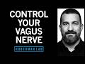 Control Your Vagus Nerve to Improve Mood, Alertness \u0026 Neuroplasticity