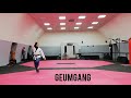 POOMSAE 10 (GEUMGANG)