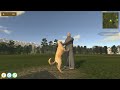 Animal Trainer Simulator: Prologue - Gameplay (PC FHD) [1080P60FPS]