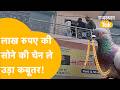 RAJASTHAN NEWS : Nagaur में कबूतर ने मचाया हड़कंप, लोग देखते रहे, कबूतर ले उड़ा सोने की चेन!