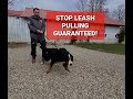 HOW TO STOP LEASH PULLING INSTANTLY!