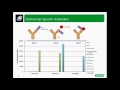 How To Improve Your Antibody Drug Development Assays with Anti-Idiotypic Antibodies