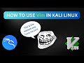 Using Vim text editor in kali linux