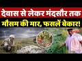 Heavy Rain In MP: Dewas से लेकर Mandsaur तक मौसम की मार, फसलें बेकार! Weather Update | Hailstorm