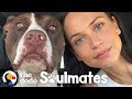 This Woman Couldn't Sleep — Until She Rescued a Pit Bull | The Dodo Soulmates
