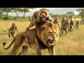 How Baboons Outsmart Lions