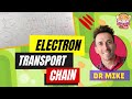 Electron Transport Chain | Made Easy