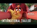 THE ANGRY BIRDS MOVIE - Official International Trailer (HD)