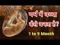 1 से 9 महीने गर्भ में शिशु के विकास का रोचक सफर || 1 to 9 month of baby growth during Pregnancy
