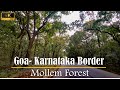 Driving through Mollem Forest, Goa- Karnataka Border
