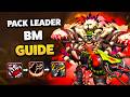 ULTIMATE Pack Leader Beast Mastery Hunter Guide