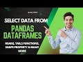 How to access data from Pandas DataFrame in Python | Pandas Tutorial series