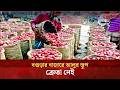 বগুড়ার বাজারে আলুর স্তূপ, ক্রেতা নেই