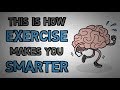 Exercise Makes You Smarter - This Is Why (animated)
