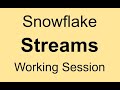 Snowflake Streams - Working Session