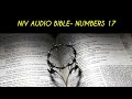 NUMBERS 17 NIV AUDIO BIBLE (with text)