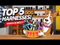 Top 5 Dog Harnesses Put to the Test: Which One is Best for Your Pup?