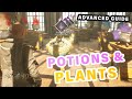 Advanced Potion and Pot Plant Farm Guide ► Hogwarts Legacy