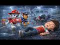 Dios mío... ¡RYDER, por favor despierta! ¡No dejes a los cachorros patrulla! - PAw PatRol en Español